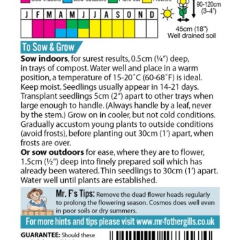 COSMOS Double Dutch White