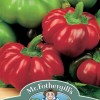 PEPPER (Sweet) Topepo rosso F1