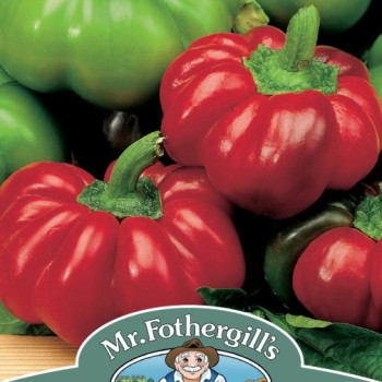 PEPPER (Sweet) Topepo rosso F1