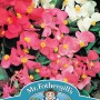 BEGONIA Summer Rainbow F2