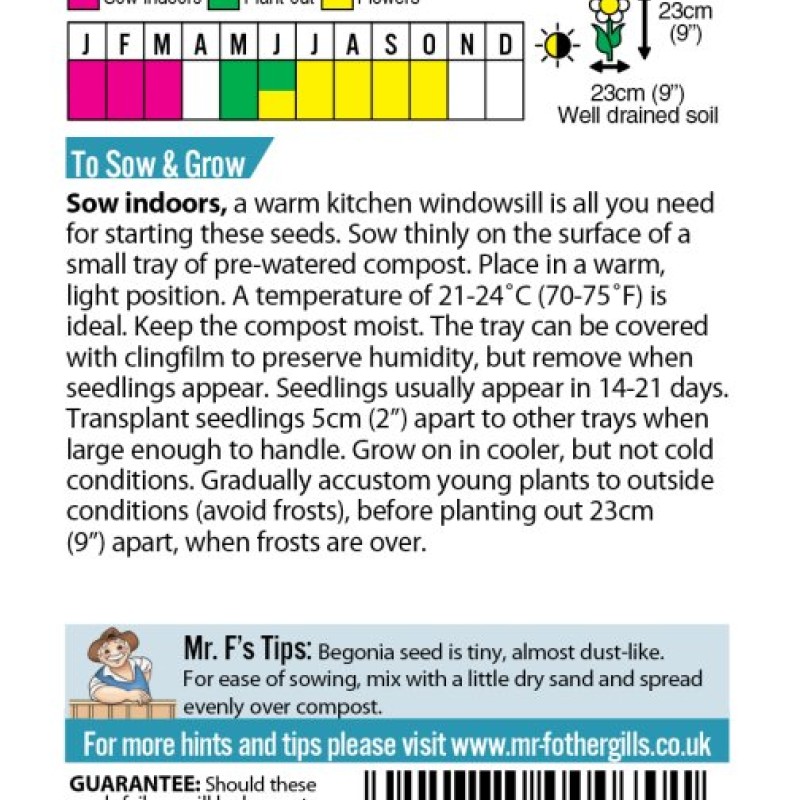 BEGONIA Summer Rainbow F2