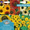 SUNFLOWERS COLLECTION