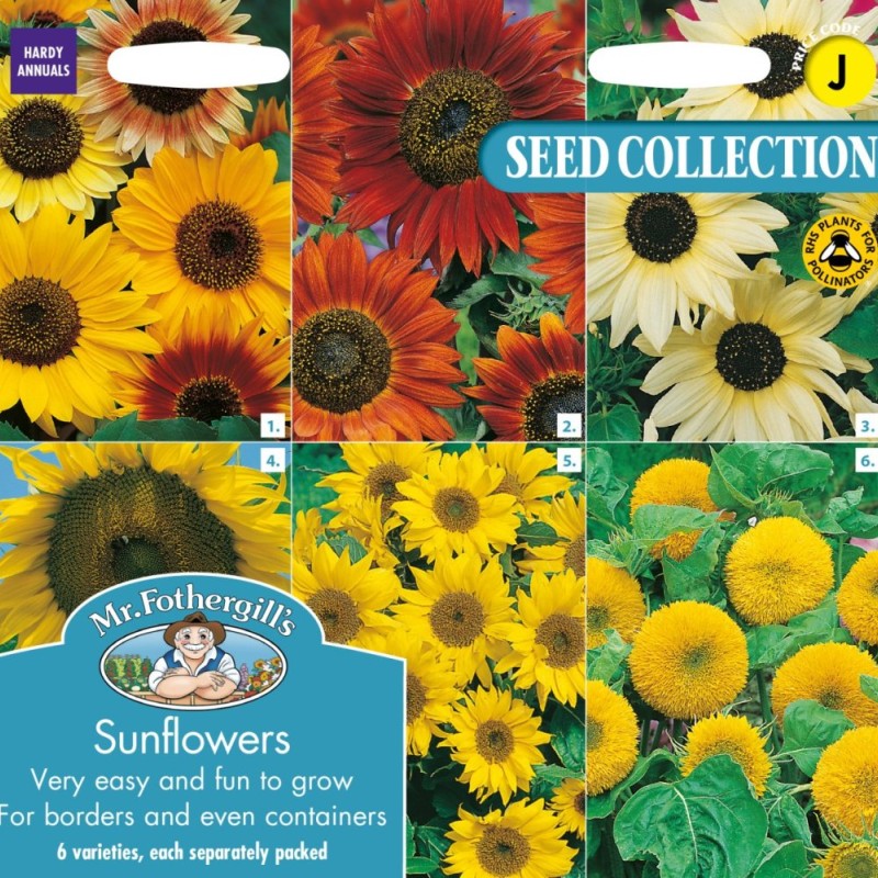 SUNFLOWERS COLLECTION