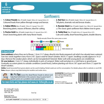 SUNFLOWERS COLLECTION