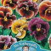PANSY Frou Frou Mixed