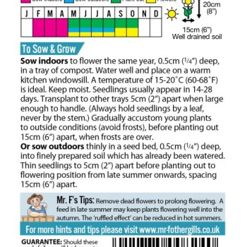PANSY Frou Frou Mixed