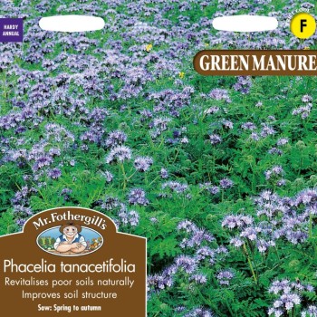 GREEN MANURE Phacelia tanacetifolia