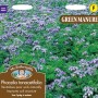 GREEN MANURE Phacelia tanacetifolia