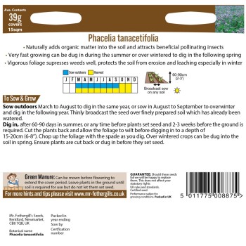 GREEN MANURE Phacelia tanacetifolia