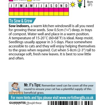 CAT GRASS Avena sativa