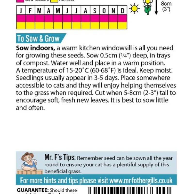 CAT GRASS Avena sativa