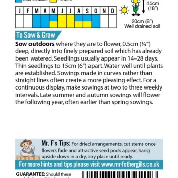 NIGELLA Love in a Mist - Miss Jekyll