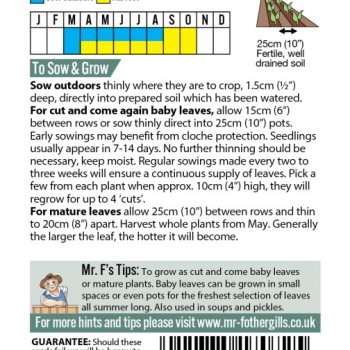 MUSTARD Colour & Bite