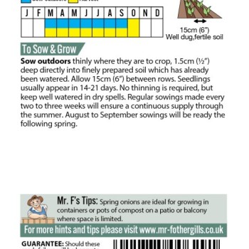 ONION (Spring) White Lisbon Winter Hardy