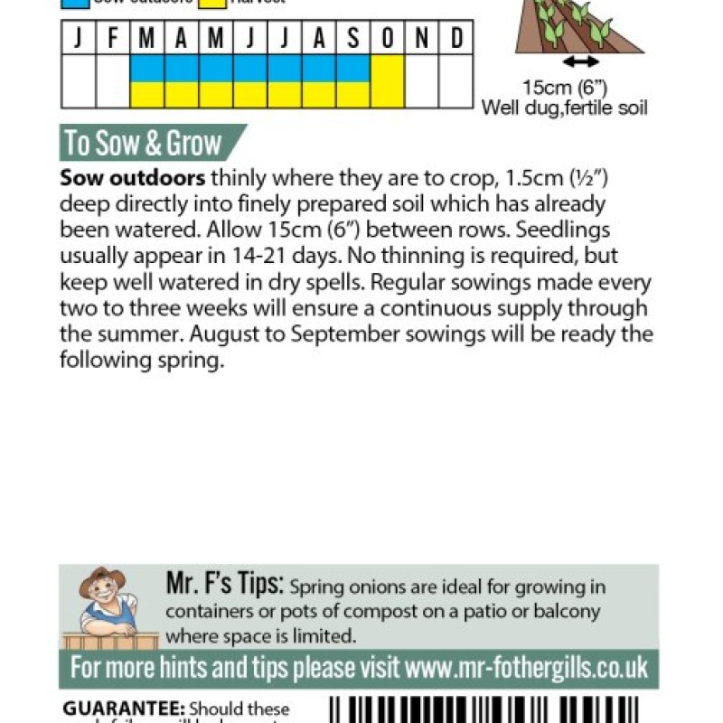 ONION (Spring) White Lisbon Winter Hardy