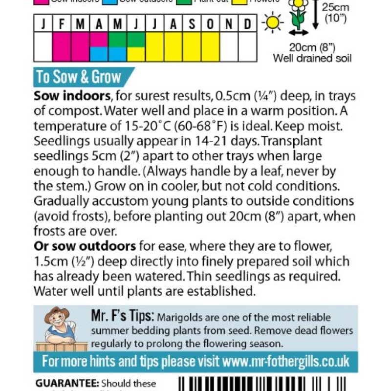 MARIGOLD (French) Red Cherry