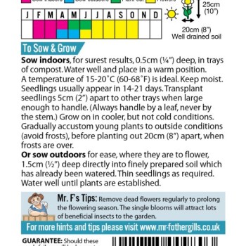 MARIGOLD (French) Naughty Marietta