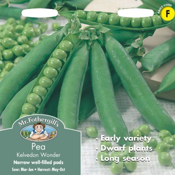 PEA Kelvedon Wonder