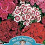 SWEET WILLIAM Monarch Mixed