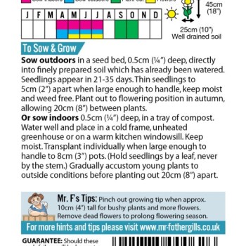 SWEET WILLIAM Monarch Mixed