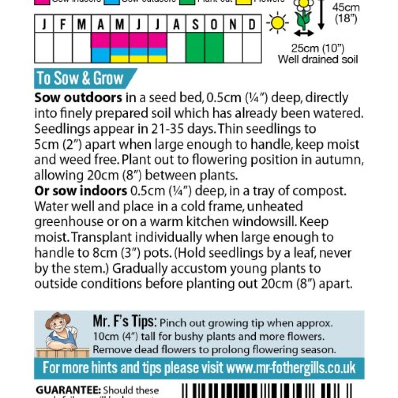 SWEET WILLIAM Monarch Mixed