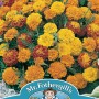 MARIGOLD (French) Boy-O-Boy Mixed