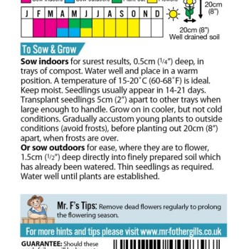 MARIGOLD (French) Boy-O-Boy Mixed
