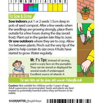 FS HALLOWEEN HEADS Pumpkin