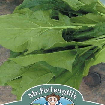 SPINACH Mikado F1