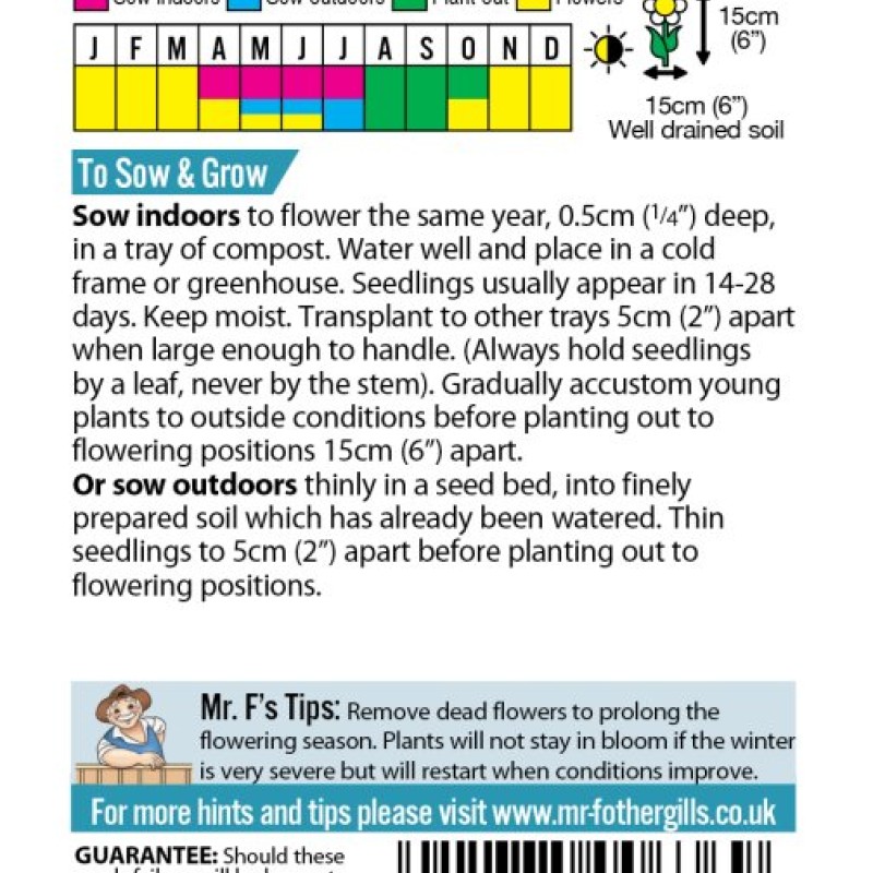 PANSY Mr F's Early Mixed F1