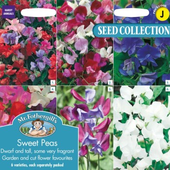 SWEET PEAS COLLECTION