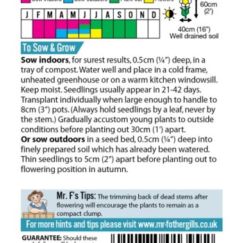 AQUILEGIA Biedermeier Mixed