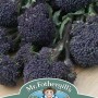 BROCCOLI (Sprouting) Summer Purple