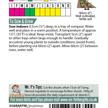 BROCCOLI (Sprouting) Summer Purple