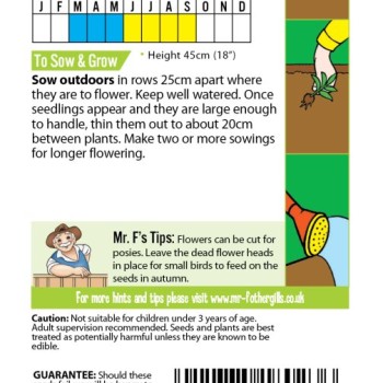 FS BUTTERFLY BLUES Cornflower