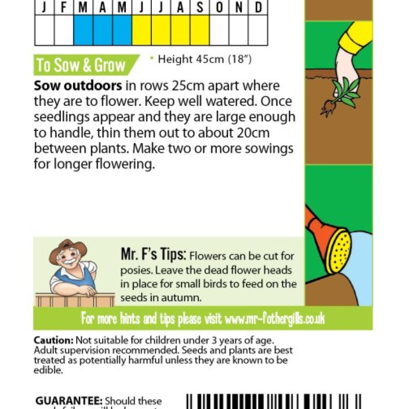 FS BUTTERFLY BLUES Cornflower