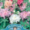 HOLLYHOCK Majorette Mixed