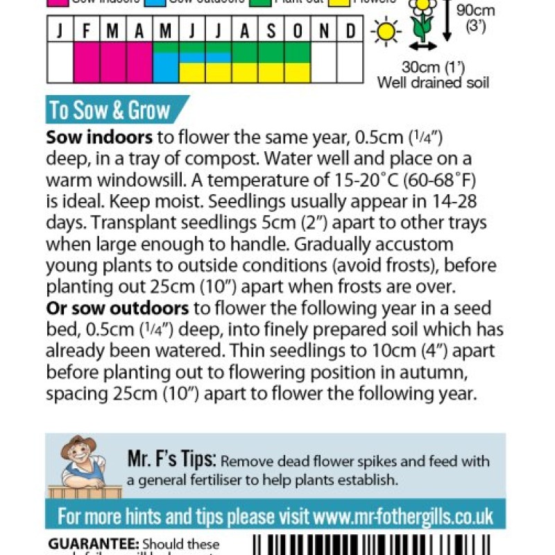 HOLLYHOCK Majorette Mixed