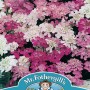 CANDYTUFT Fairy Mixed