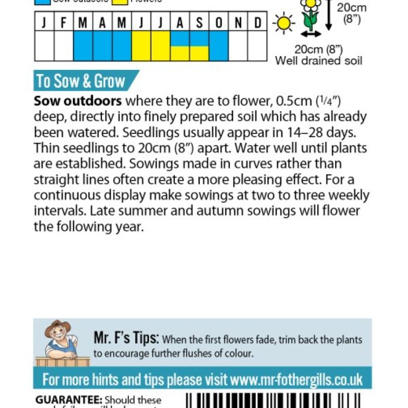 CANDYTUFT Fairy Mixed