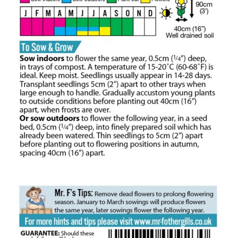 VERBASCUM phoeniceum Mixed