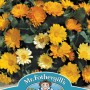 CALENDULA Daisy Mixed
