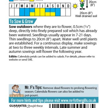 CALENDULA Daisy Mixed