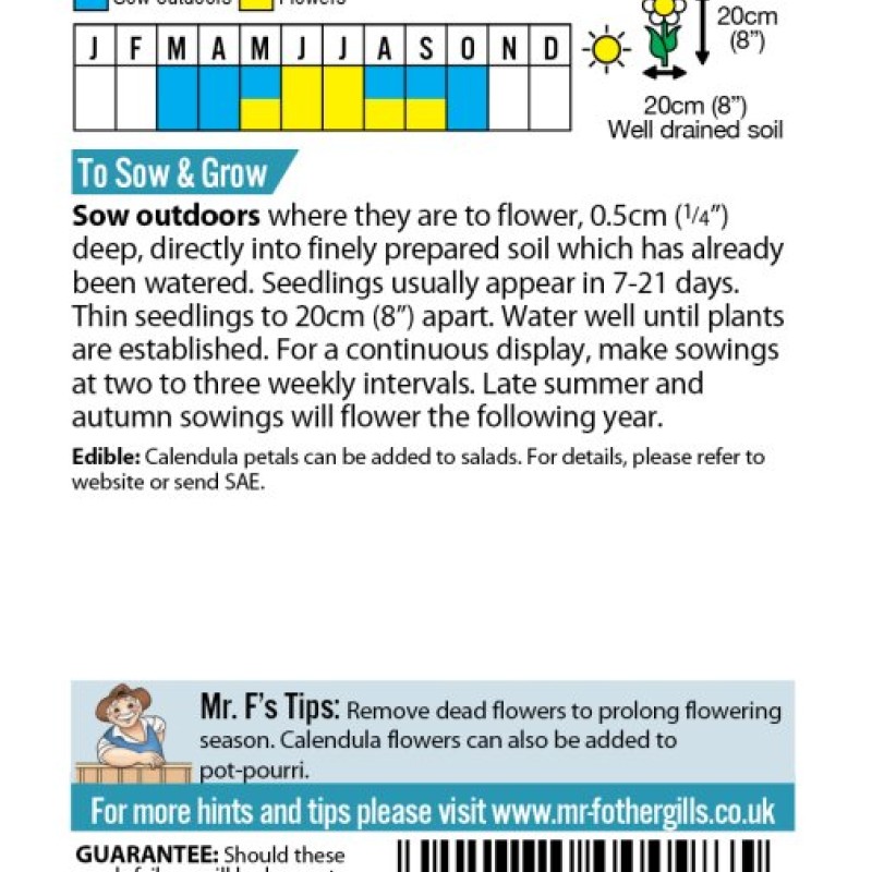CALENDULA Daisy Mixed