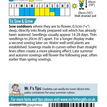 GODETIA Azalea Flowered Mixed