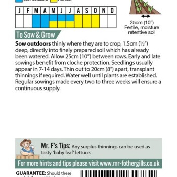 LETTUCE Gustav's Salad