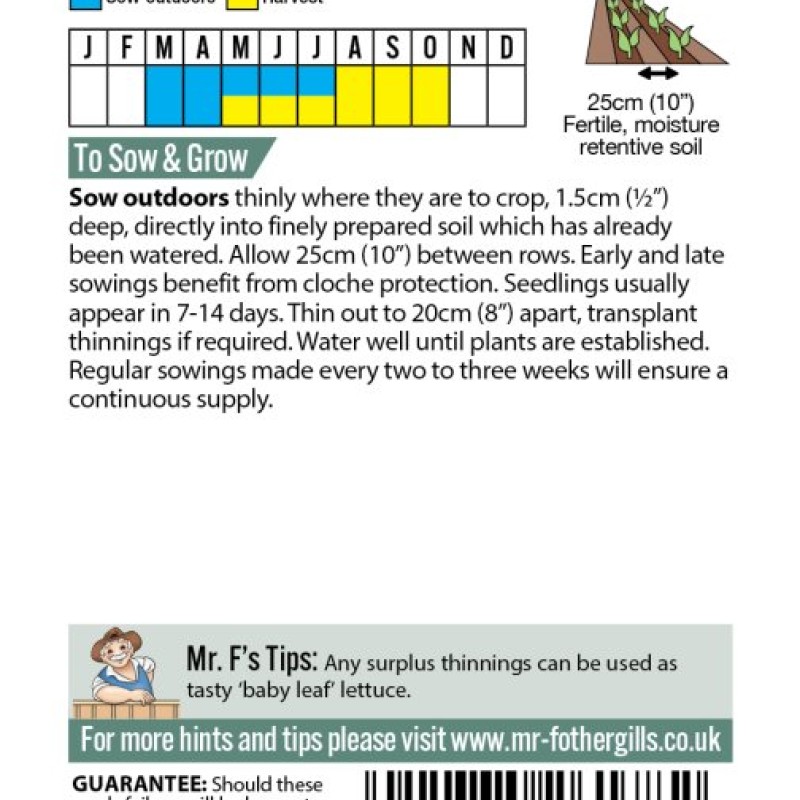 LETTUCE Gustav's Salad