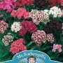 SWEET WILLIAM Single Mixed