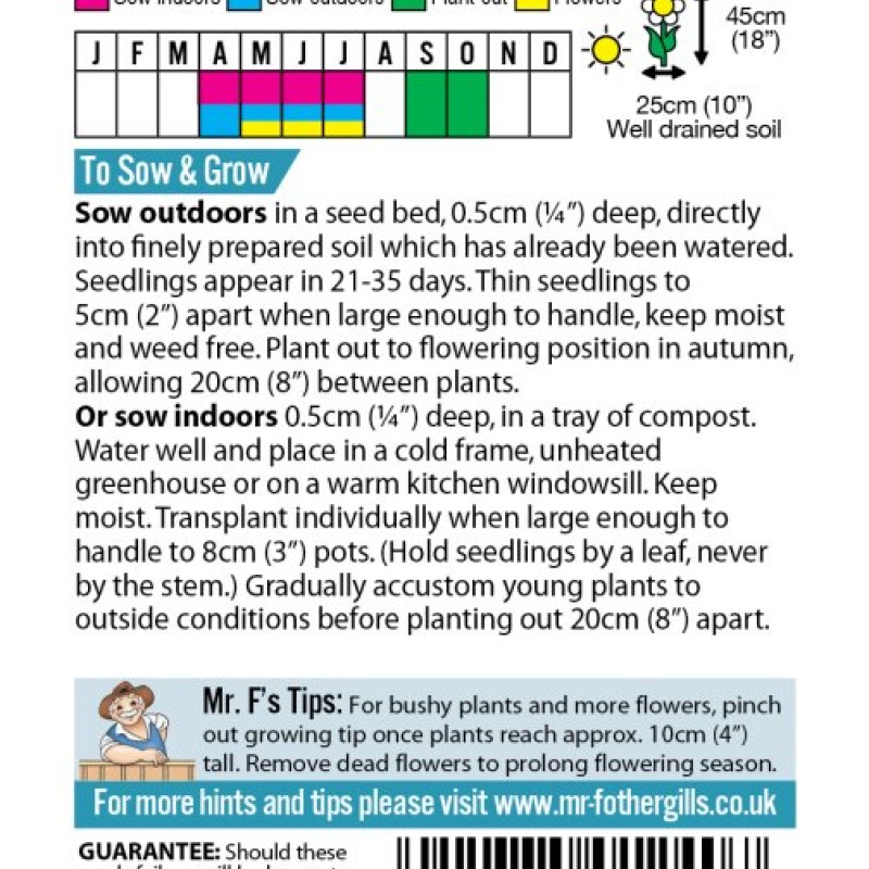SWEET WILLIAM Single Mixed