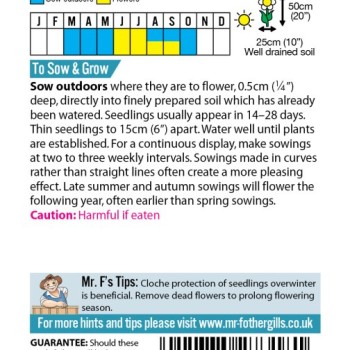 LUPIN Avalune Bicolour Mix